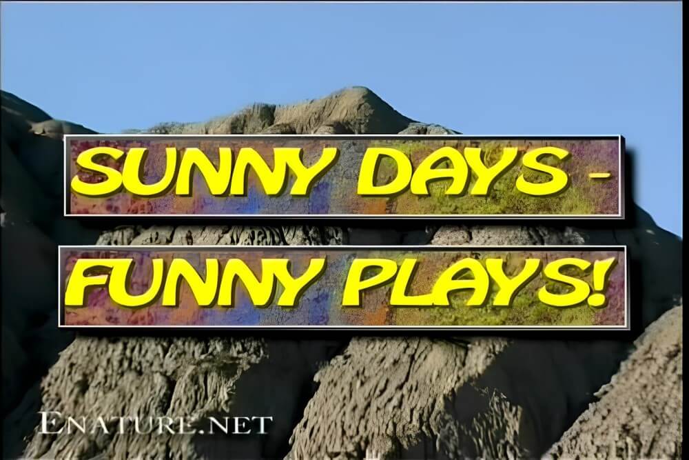 Enature - Sunny Days – Funny Plays - European Delegation of Body Freedom Advocates