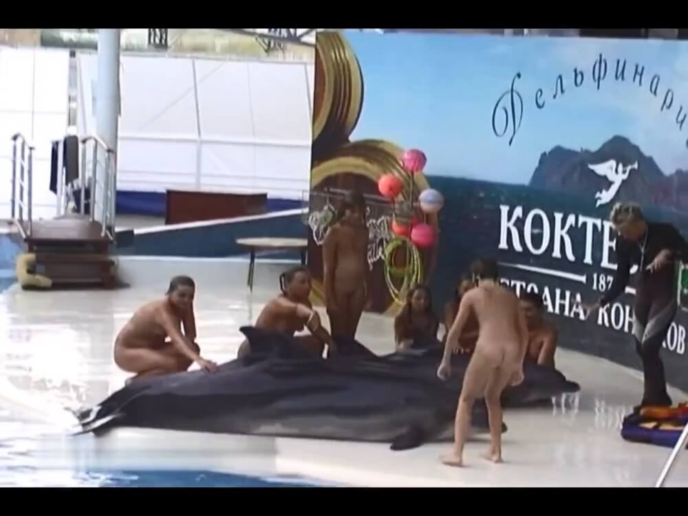 Relaxing at the dolphinarium - European Delegation of Body Freedom Advocates